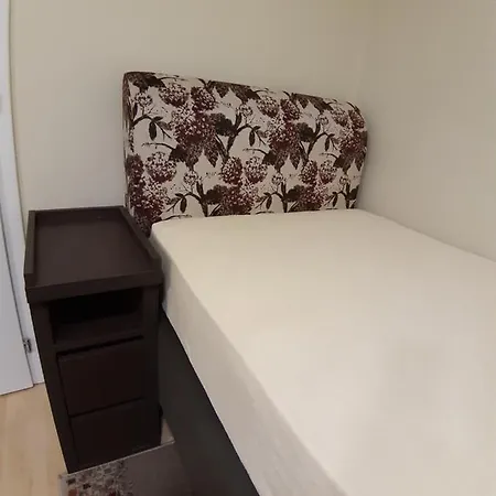 Mimoza 2 Jagodina