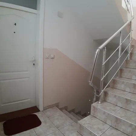 Mimoza 2