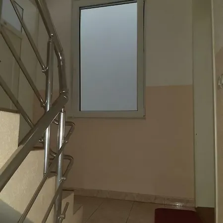 Mimoza 2 Jagodina